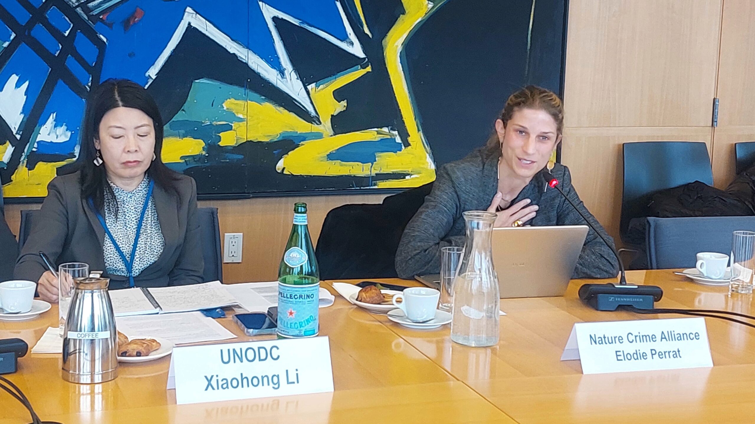 Alliance Secretariat shares perspectives on environmental crime progress at the international level