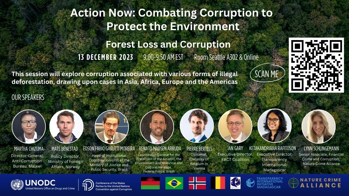 Alliance to lead deforestation and corruption session at UNCAC CoSP10