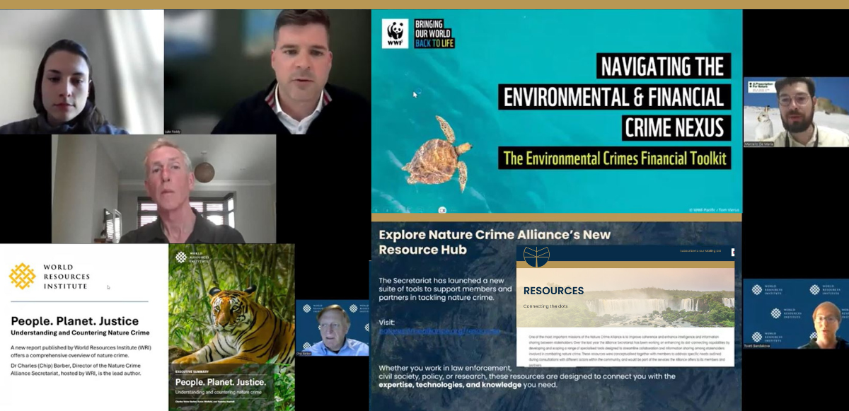 Highlights from the Nature Crime Alliance in 2025