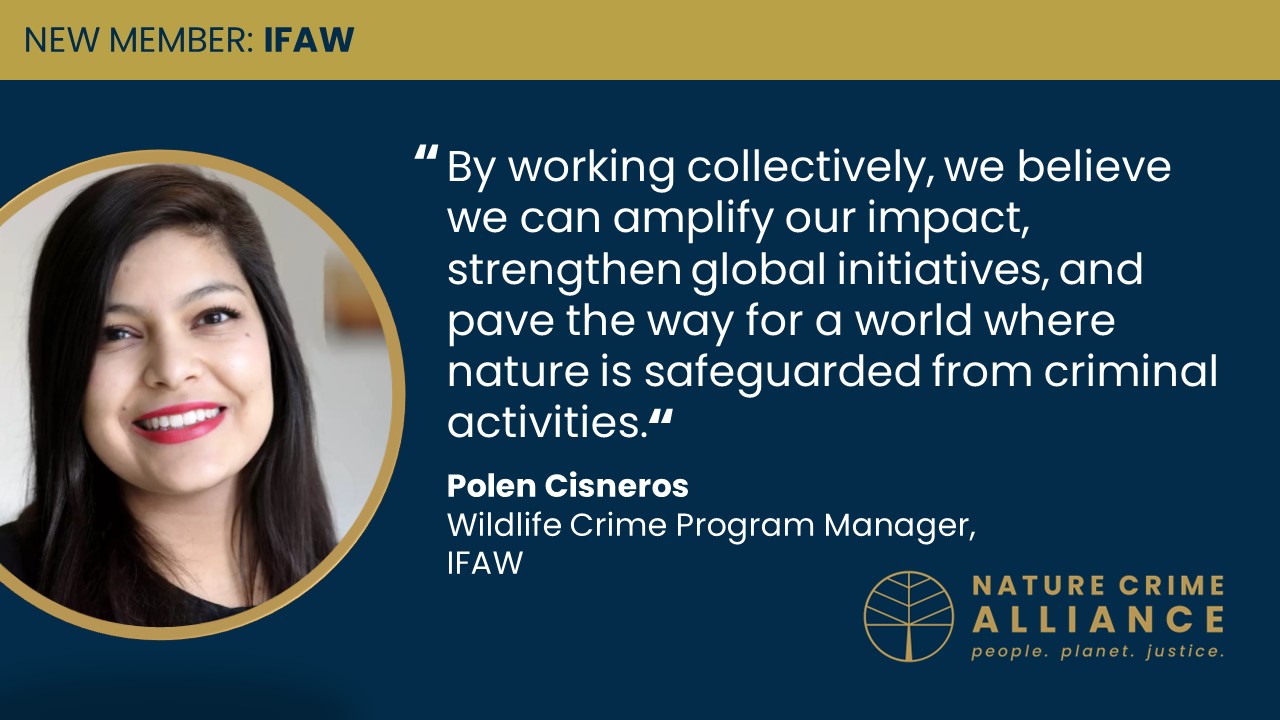 IFAW joins Alliance to bolster “shared mission” of ending nature crime  
