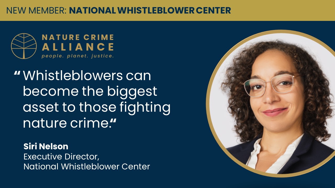 Nature crime whistleblowers recognised as NWC joins Alliance