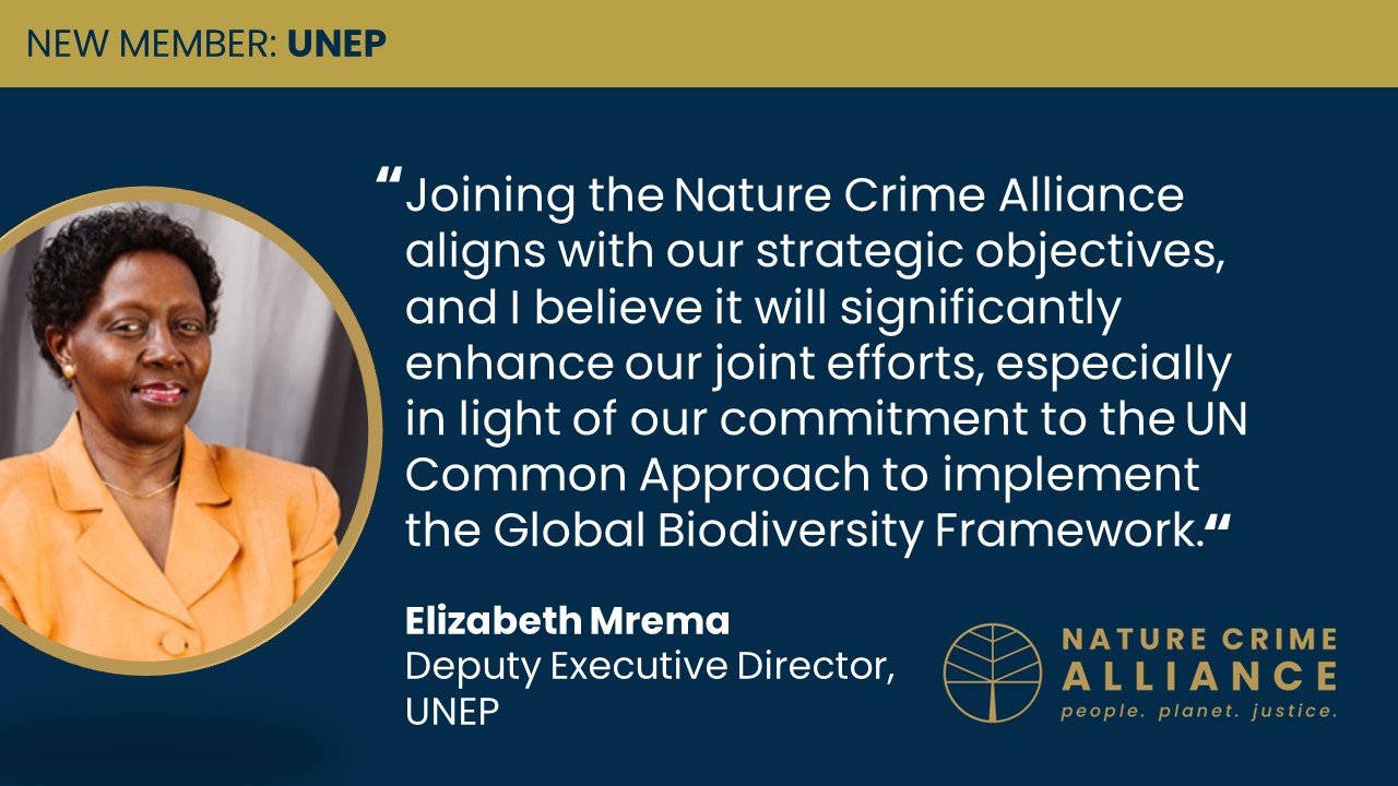 The Nature Crime Alliance welcomes UNEP as a member