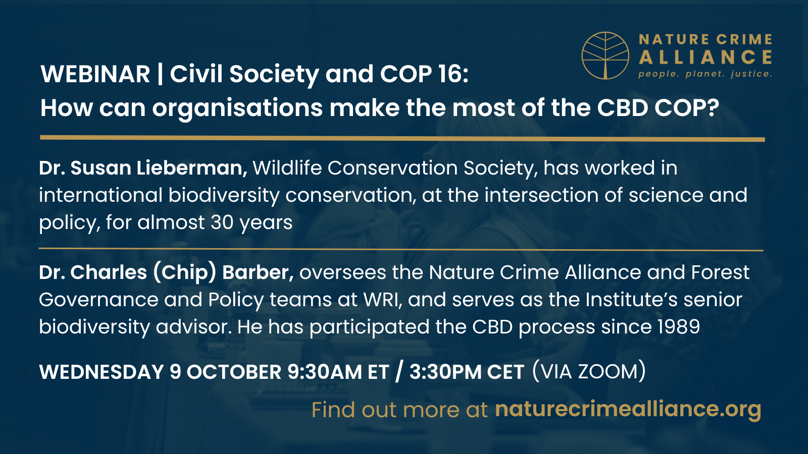 WEBINAR: Civil Society and COP 16 – How can organisations make the most of the CBD COP?